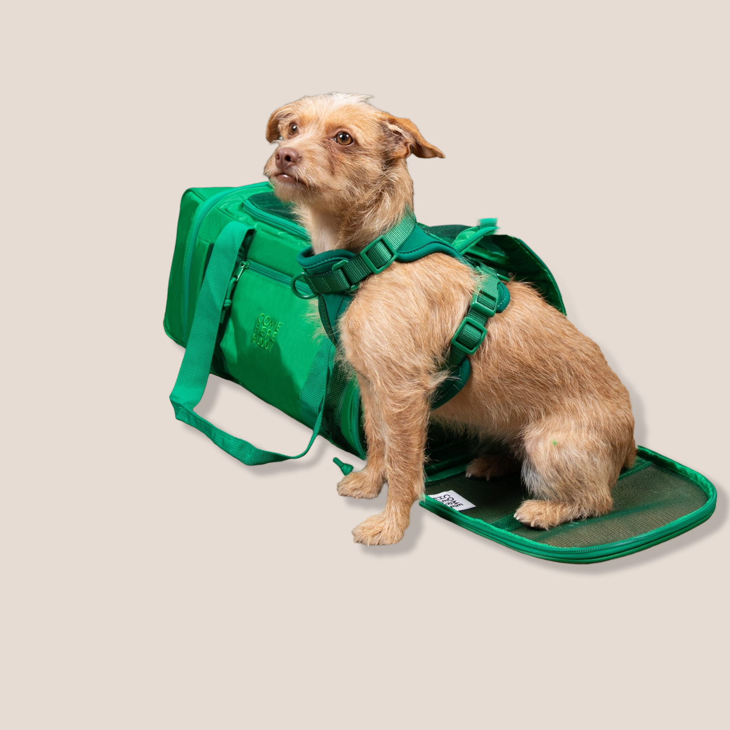 COME HERE BUDDY - Travel Buddy Pet Carriers