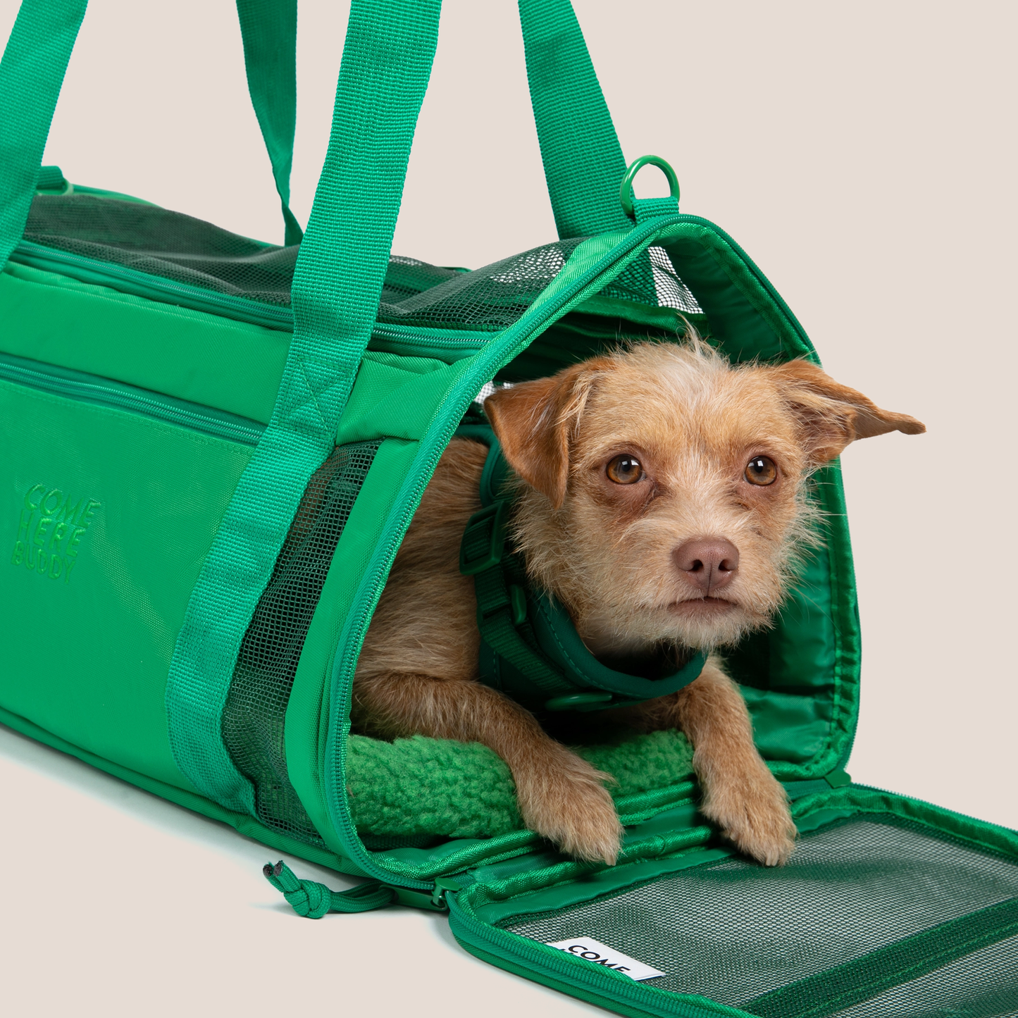COME HERE BUDDY - Travel Buddy Pet Carriers