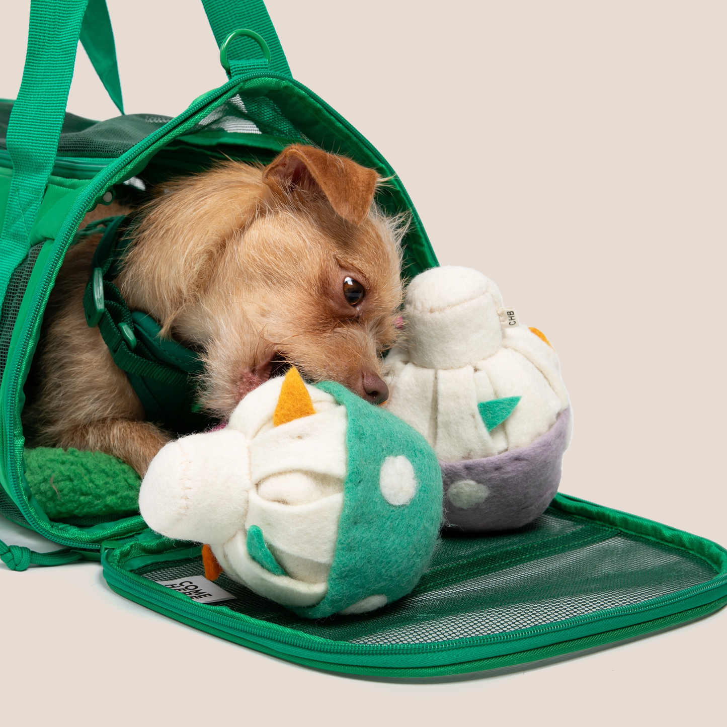 COME HERE BUDDY - Travel Buddy Pet Carriers