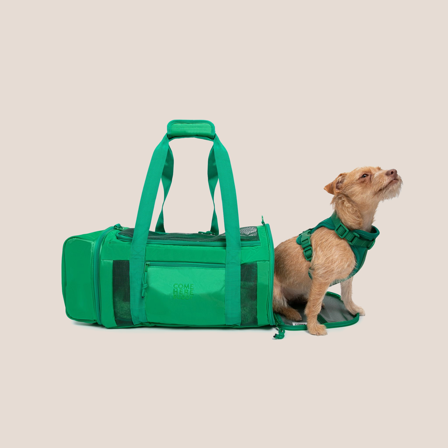 COME HERE BUDDY - Travel Buddy Pet Carriers
