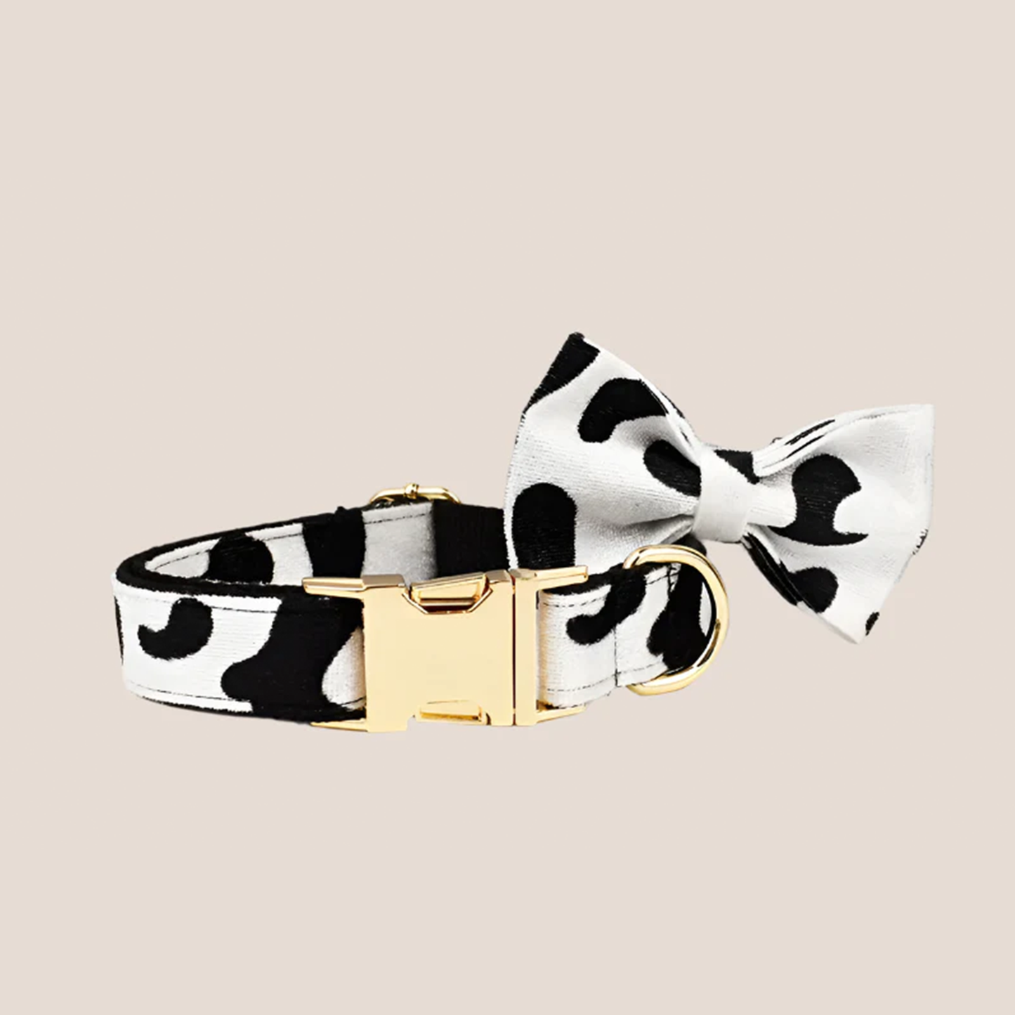 Personalized Pet ID Collar, Harness Leash & Accessories Set Cow Print Velvet