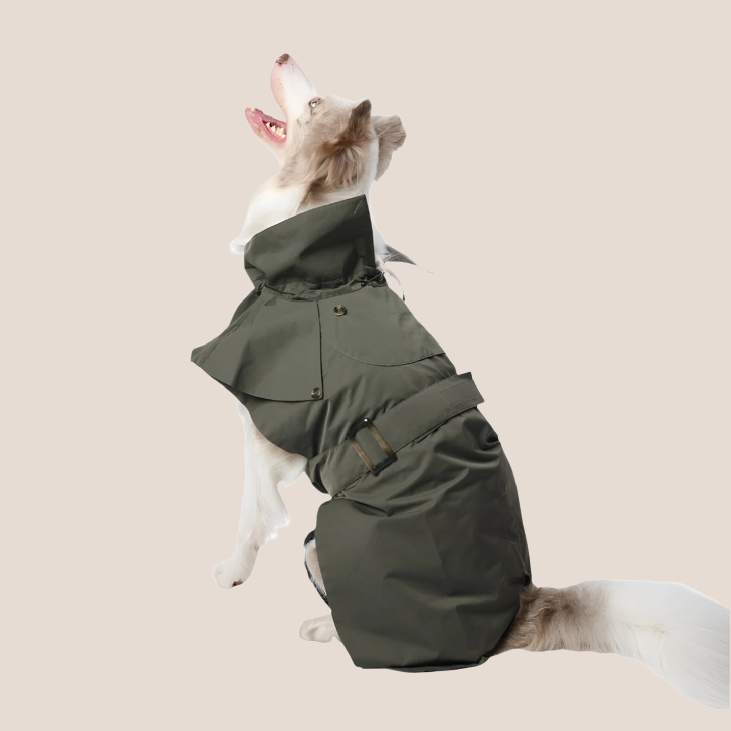 Timeless Pet Trench Coat