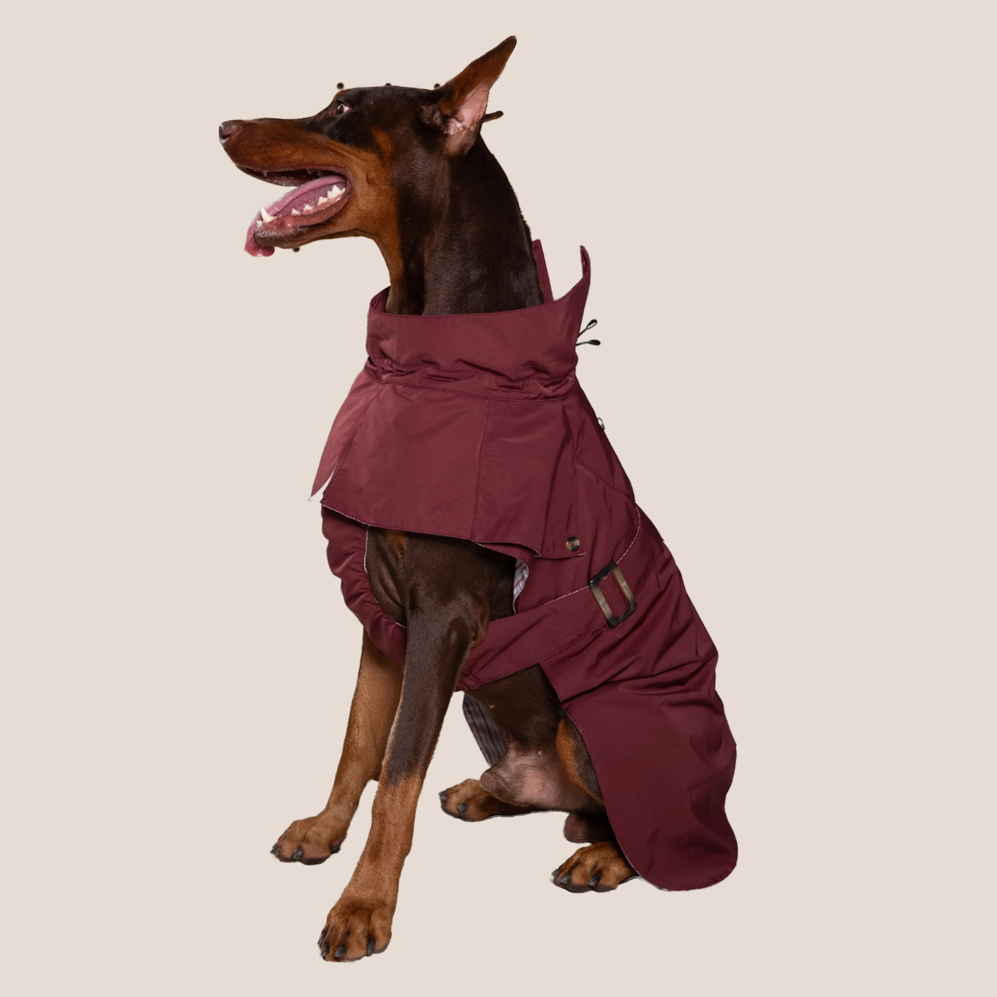 Timeless Pet Trench Coat