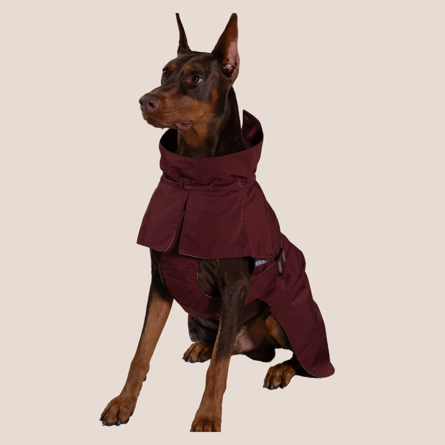 Timeless Pet Trench Coat