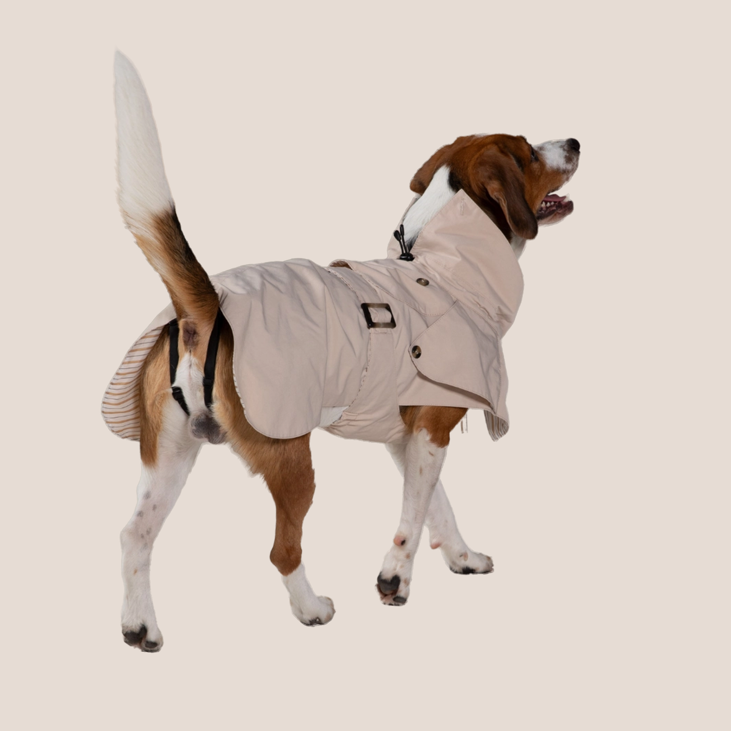 Timeless Pet Trench Coat