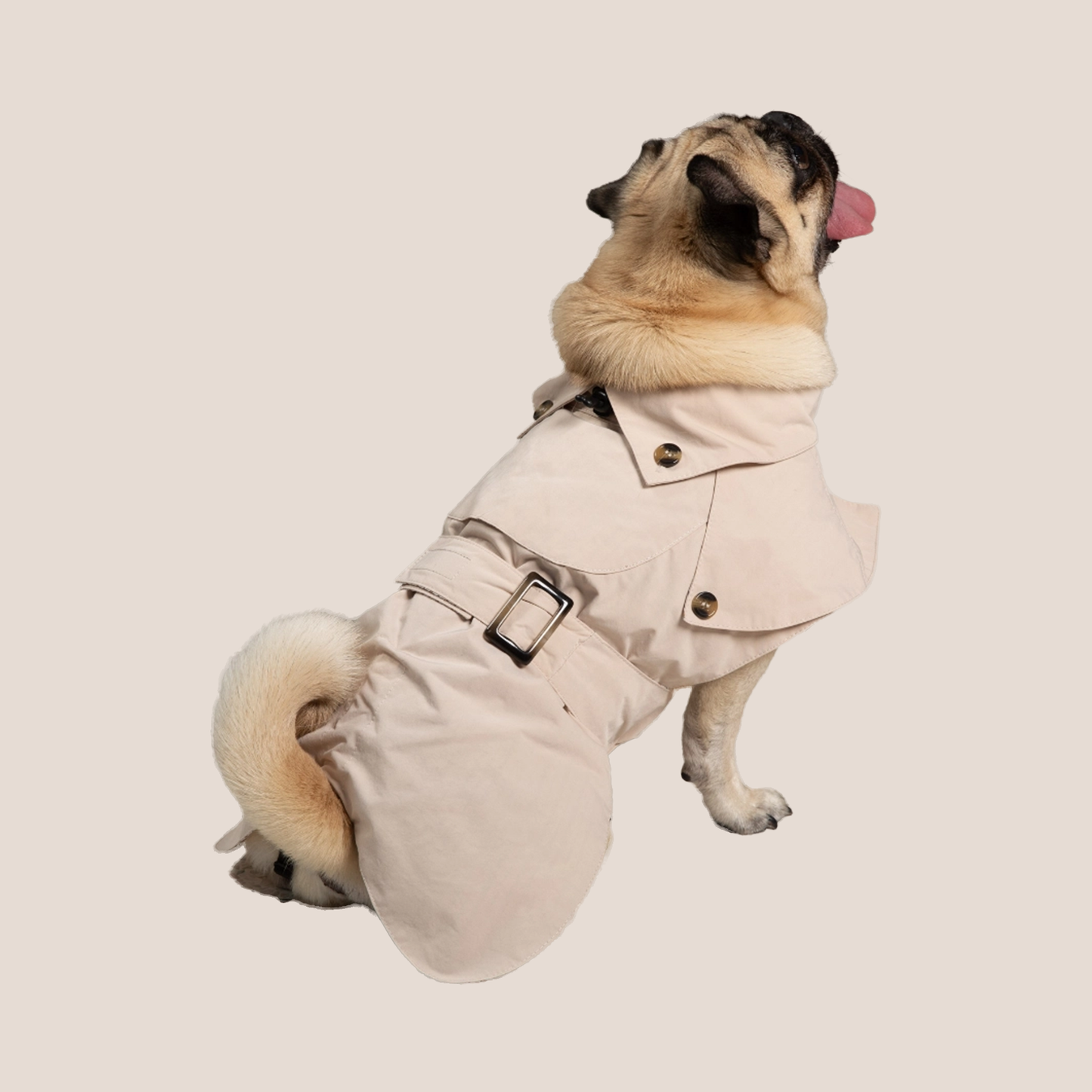 Timeless Pet Trench Coat