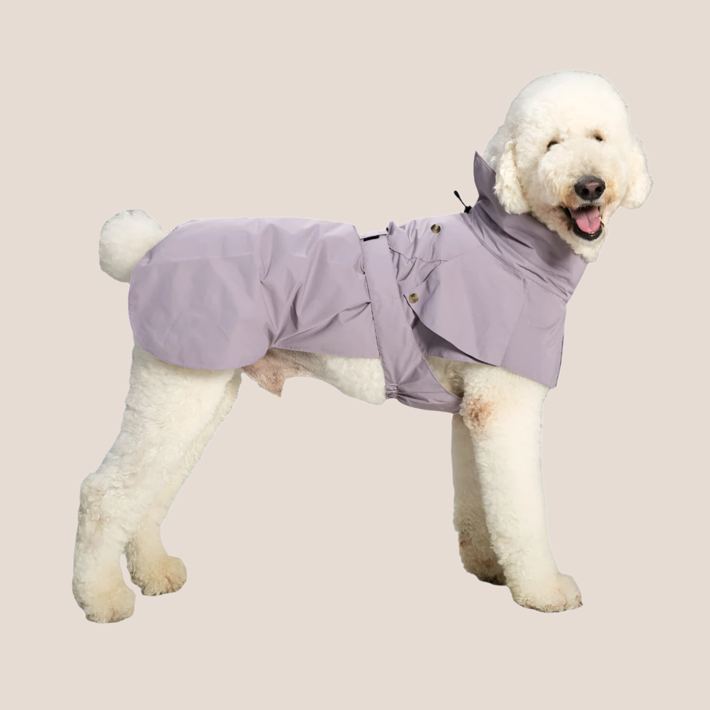 Timeless Pet Trench Coat
