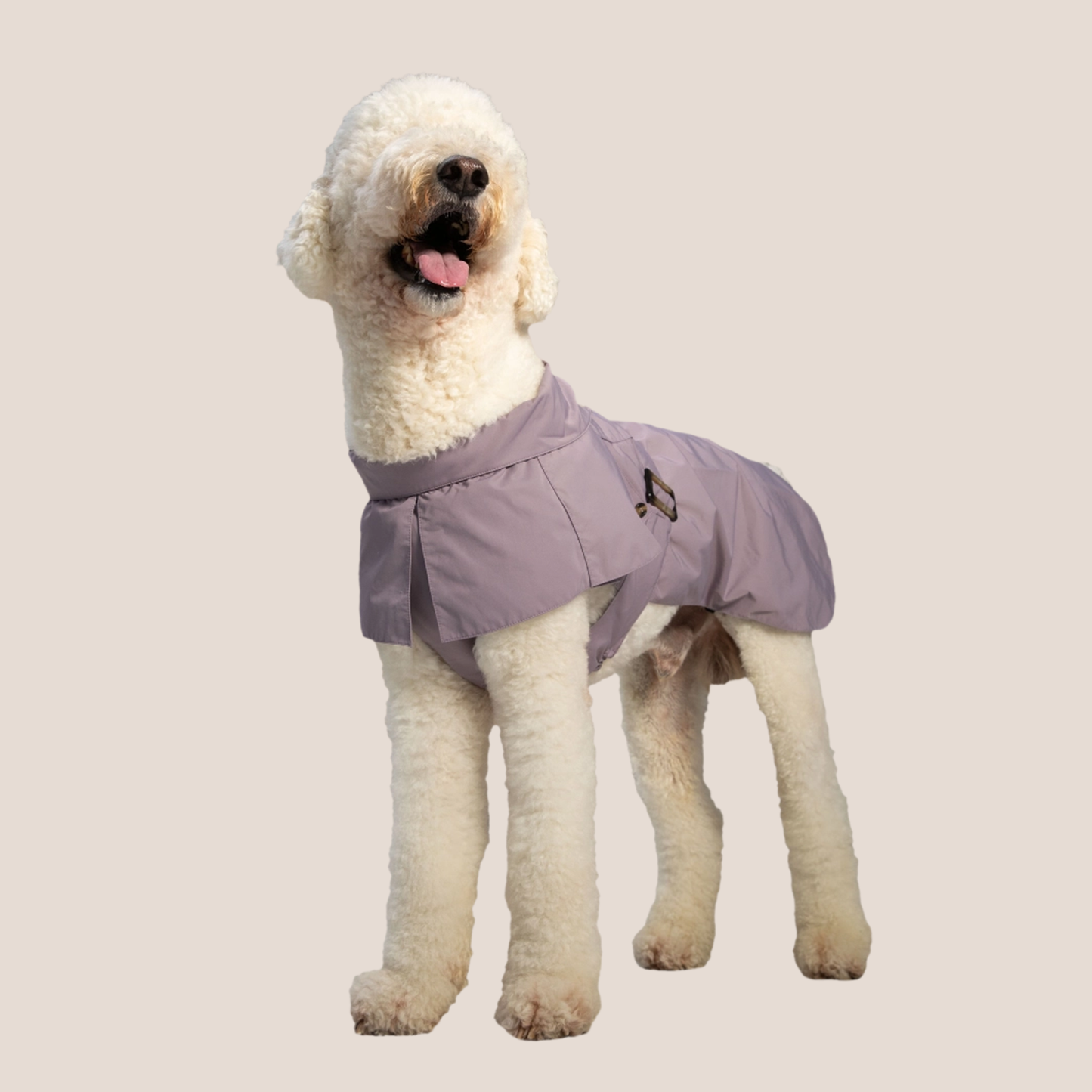 Timeless Pet Trench Coat