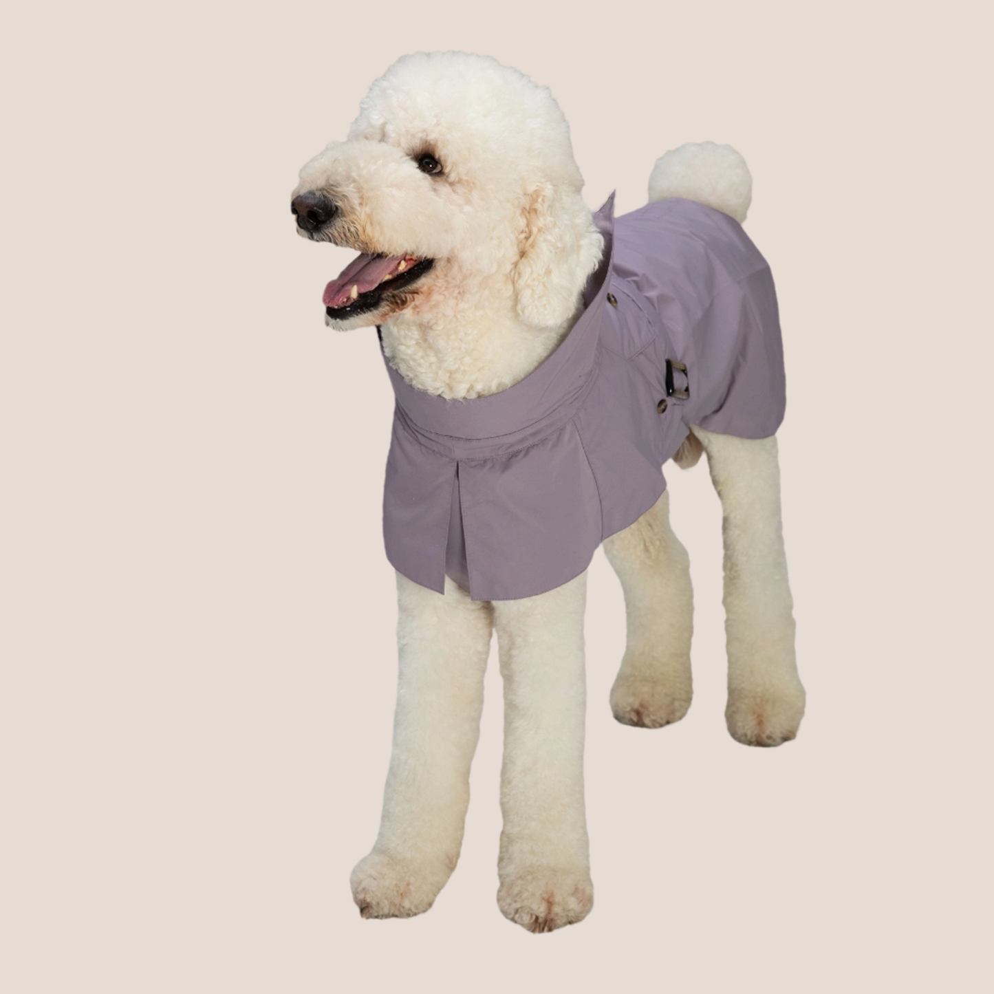 Timeless Pet Trench Coat