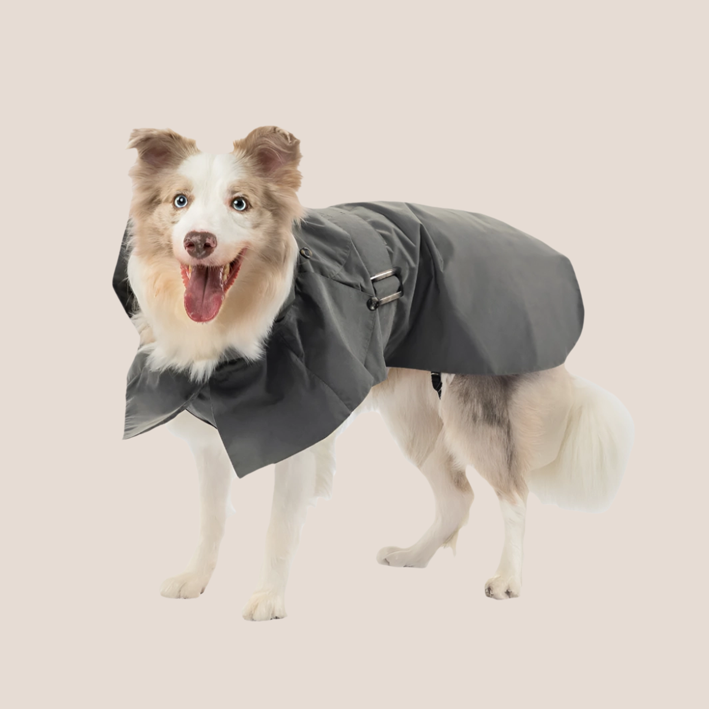Timeless Pet Trench Coat