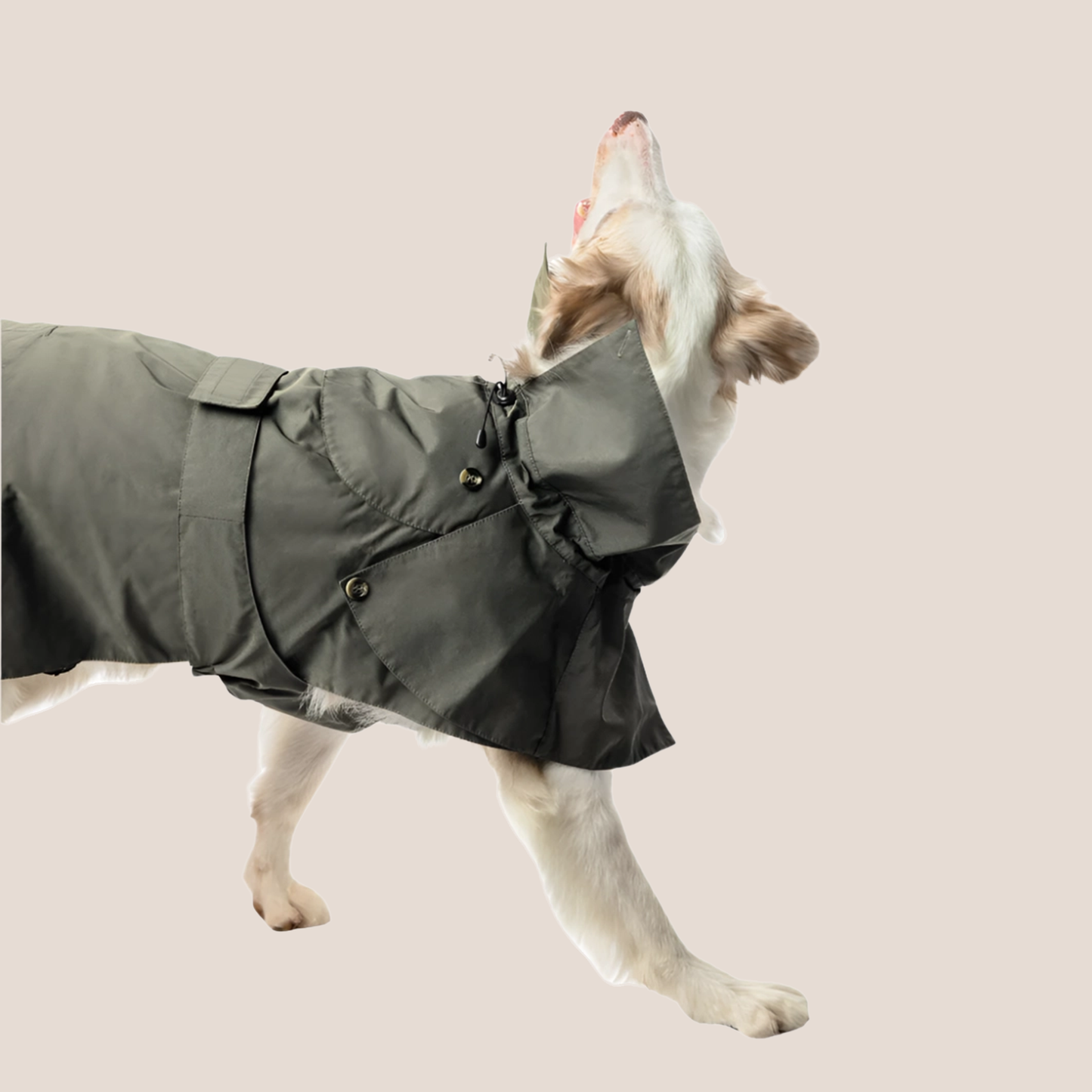 Timeless Pet Trench Coat