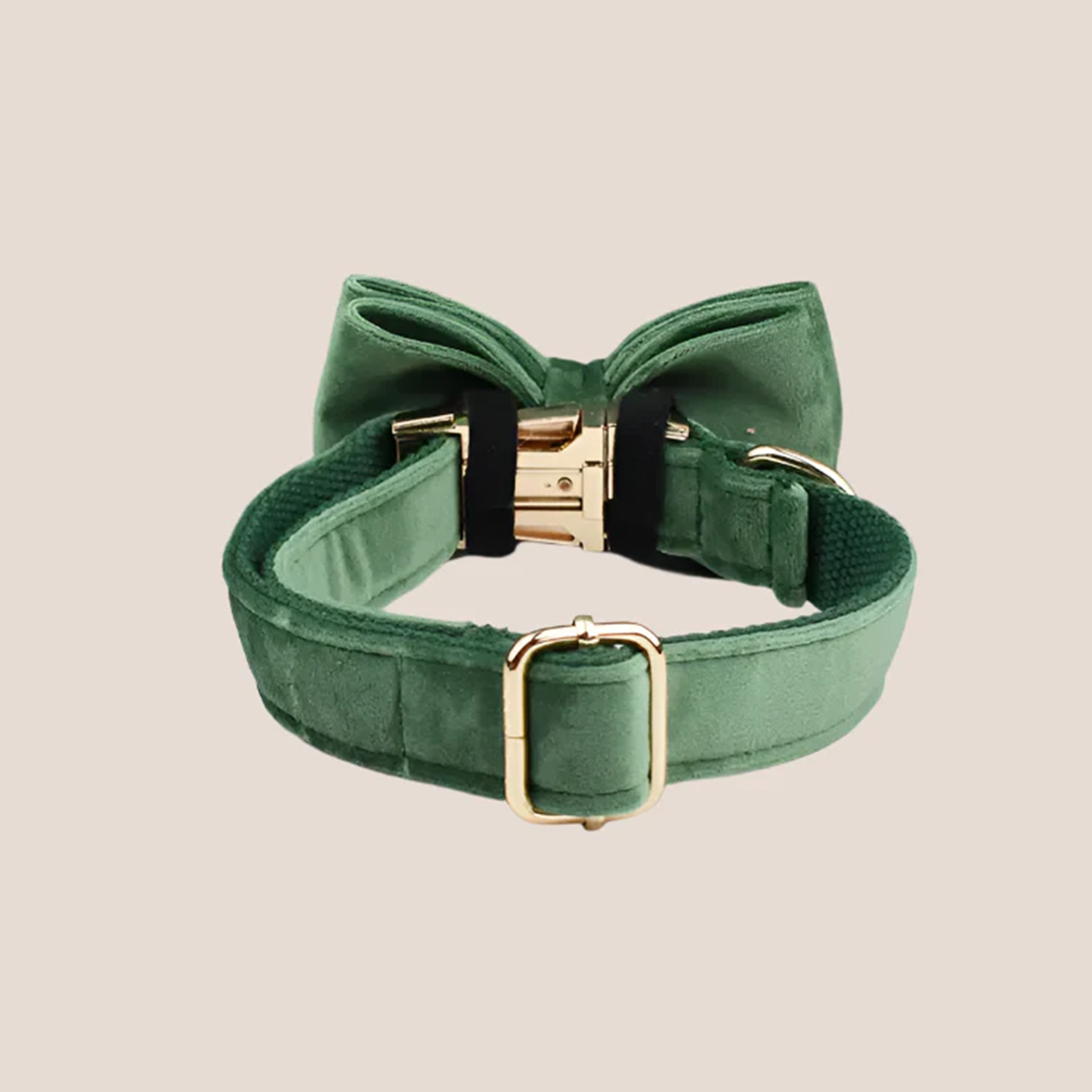 Forest Green Velvet Engraved Pet Set