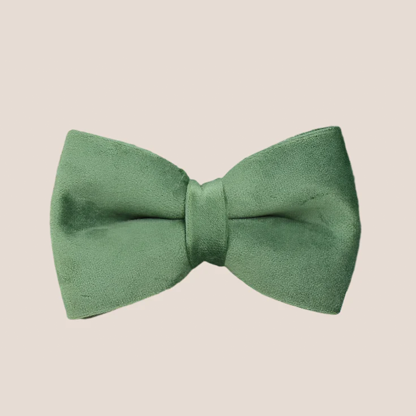 Forest Green Velvet Engraved Pet Set
