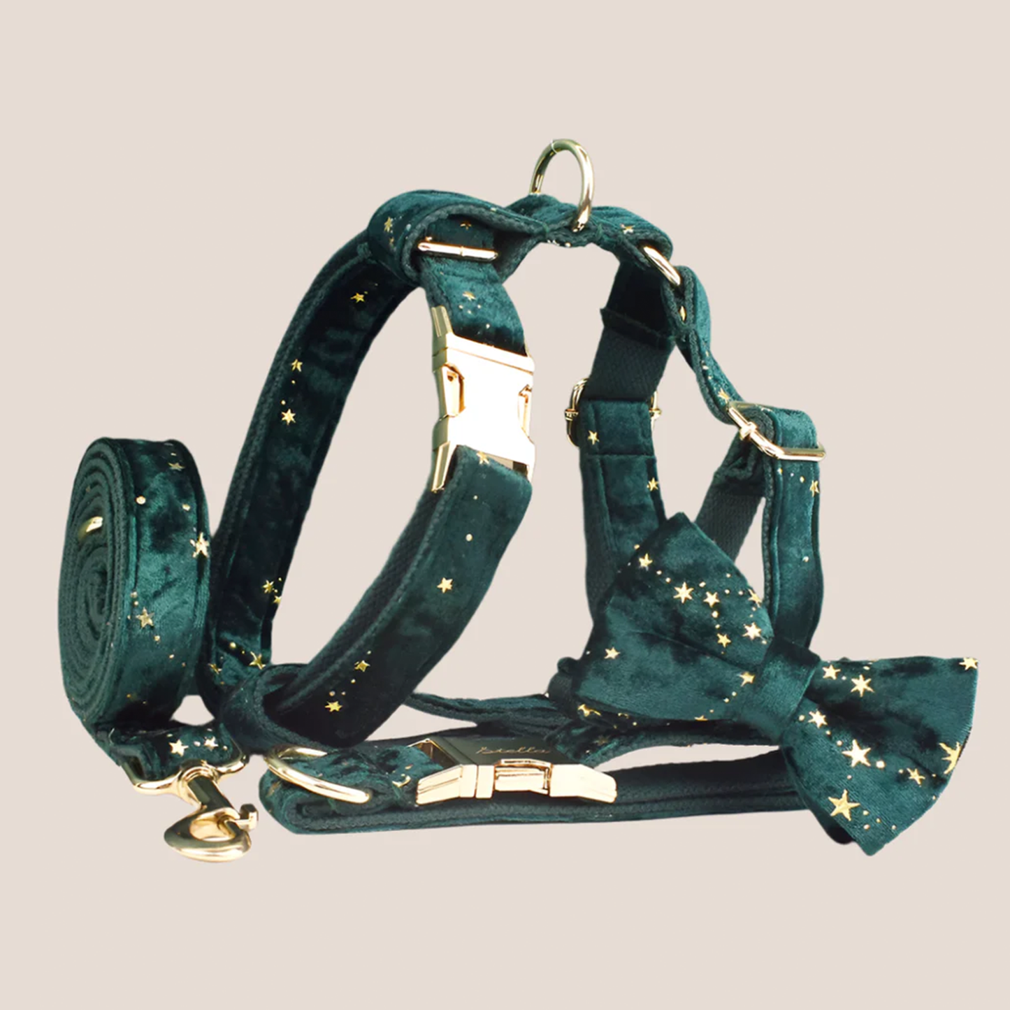Dark Green & Gold Stars Velvet Engraved Pet Set