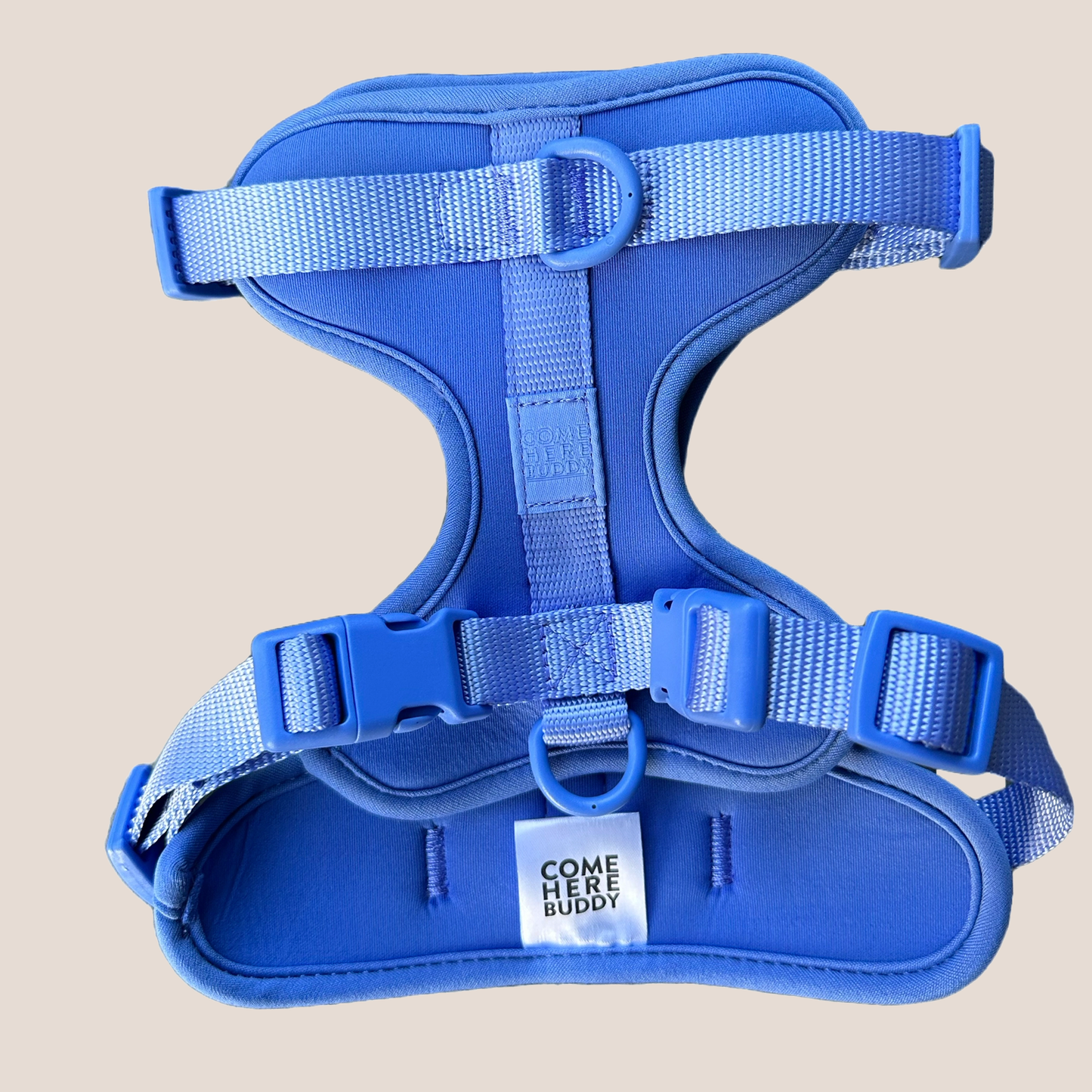 COME HERE BUDDY - Harness