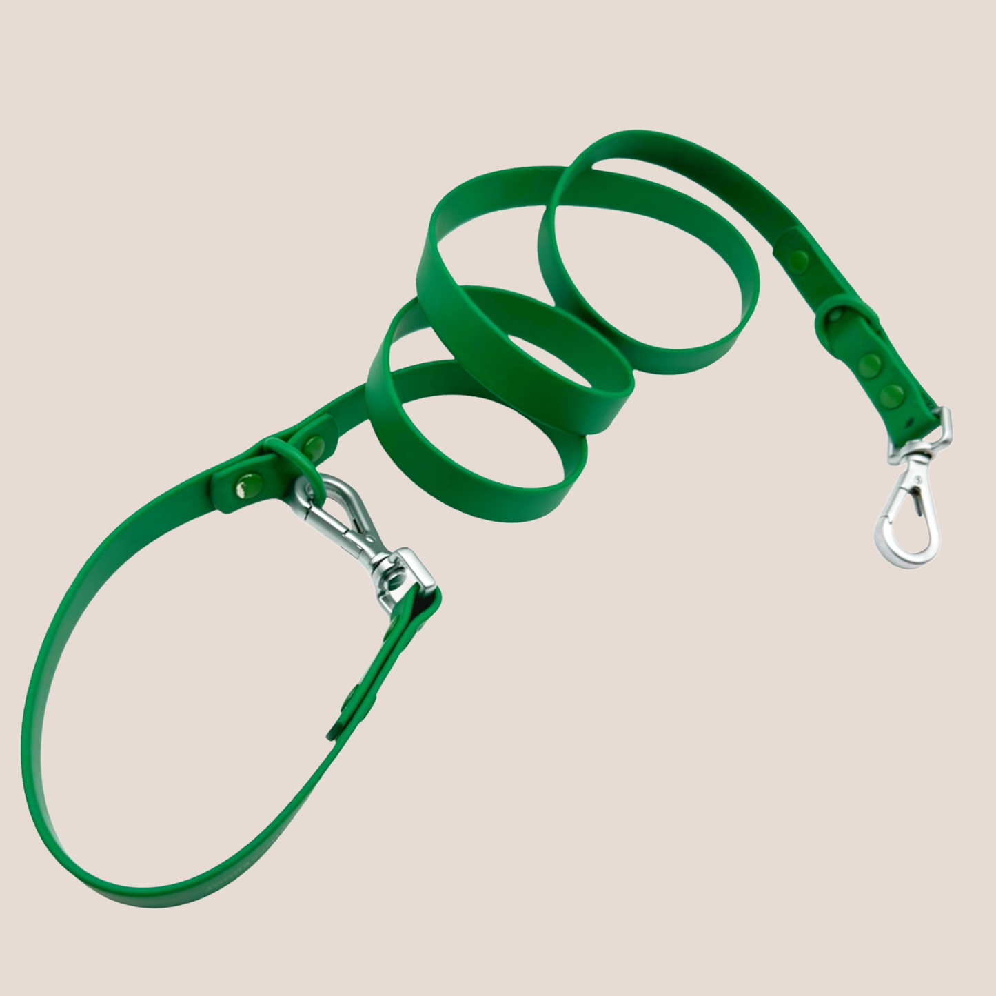 COME HERE BUDDY - Leash