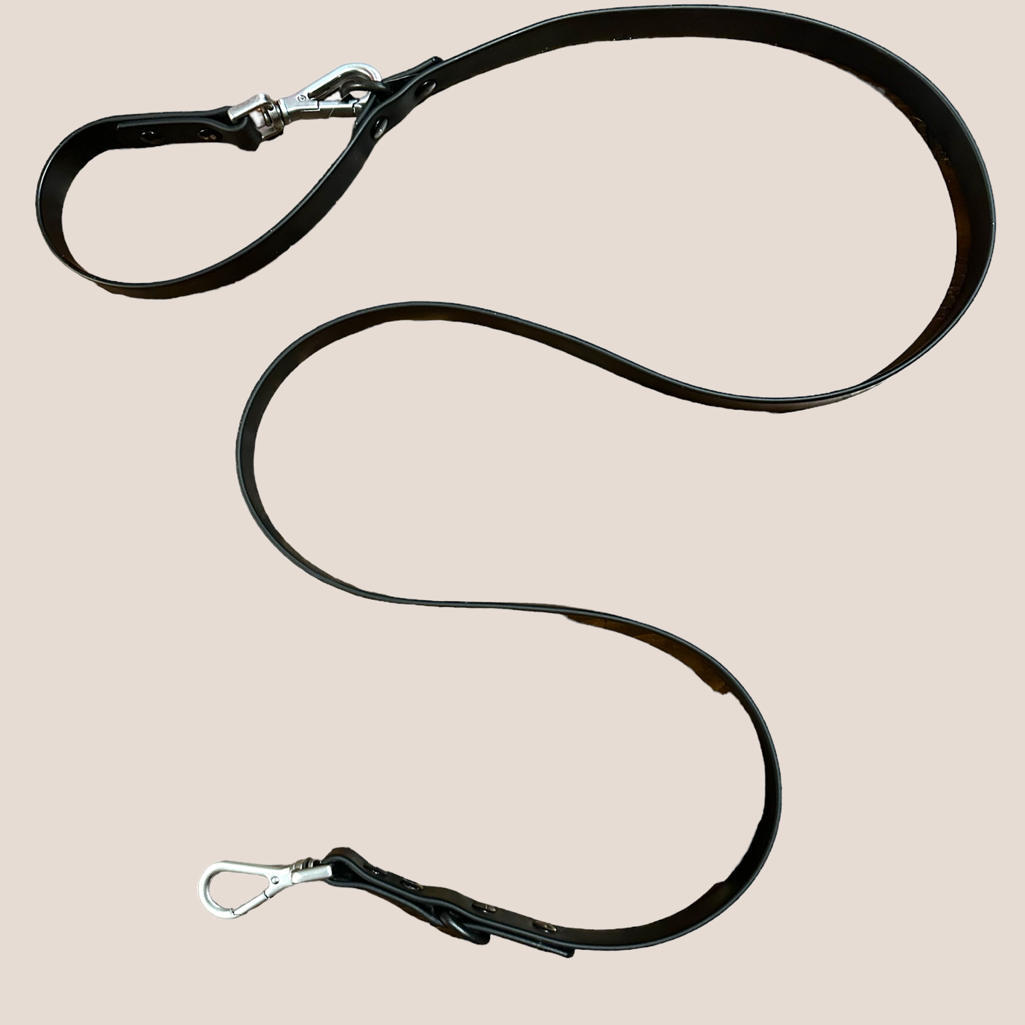 COME HERE BUDDY - Leash