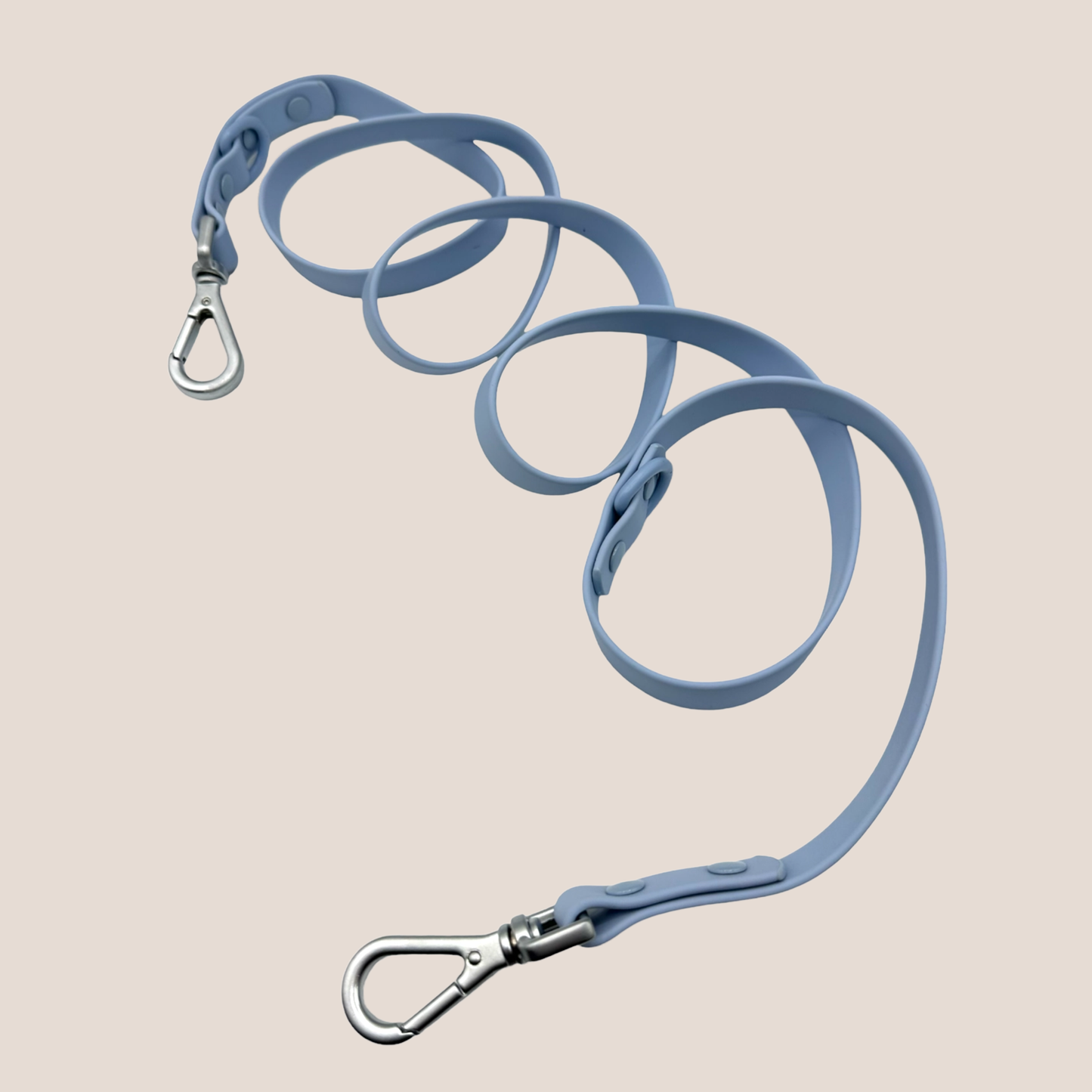 COME HERE BUDDY - Leash