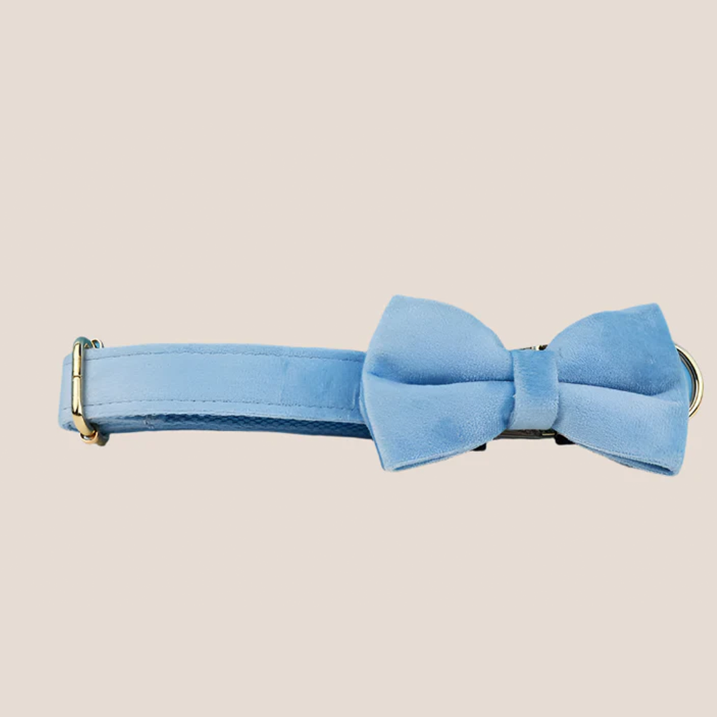 Personalized Pet ID Collar, Harness Leash & Accessories Set Light Blue Velvet