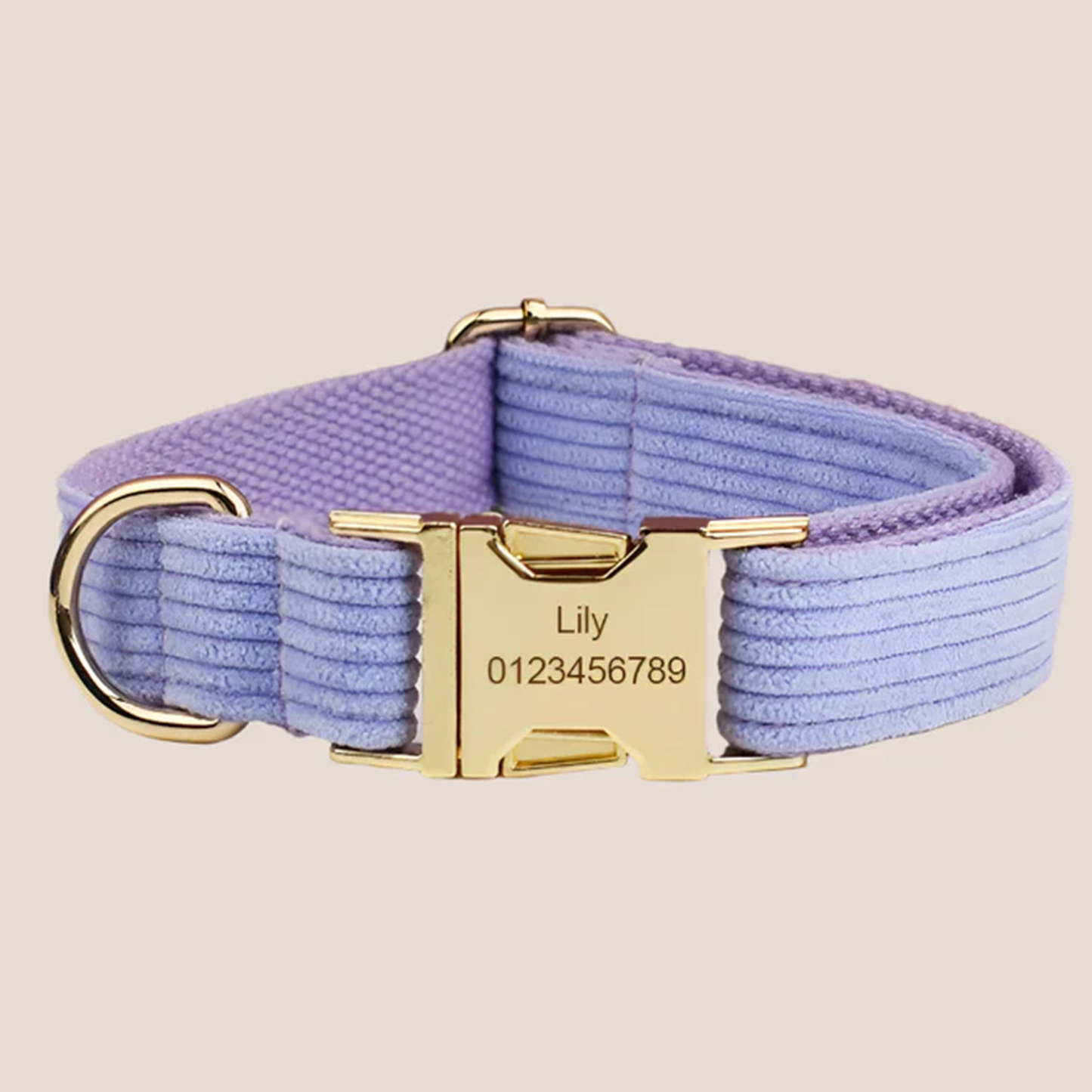 Personalized Pet ID Collar, Harness Leash & Accessories Set Purple Corduroy