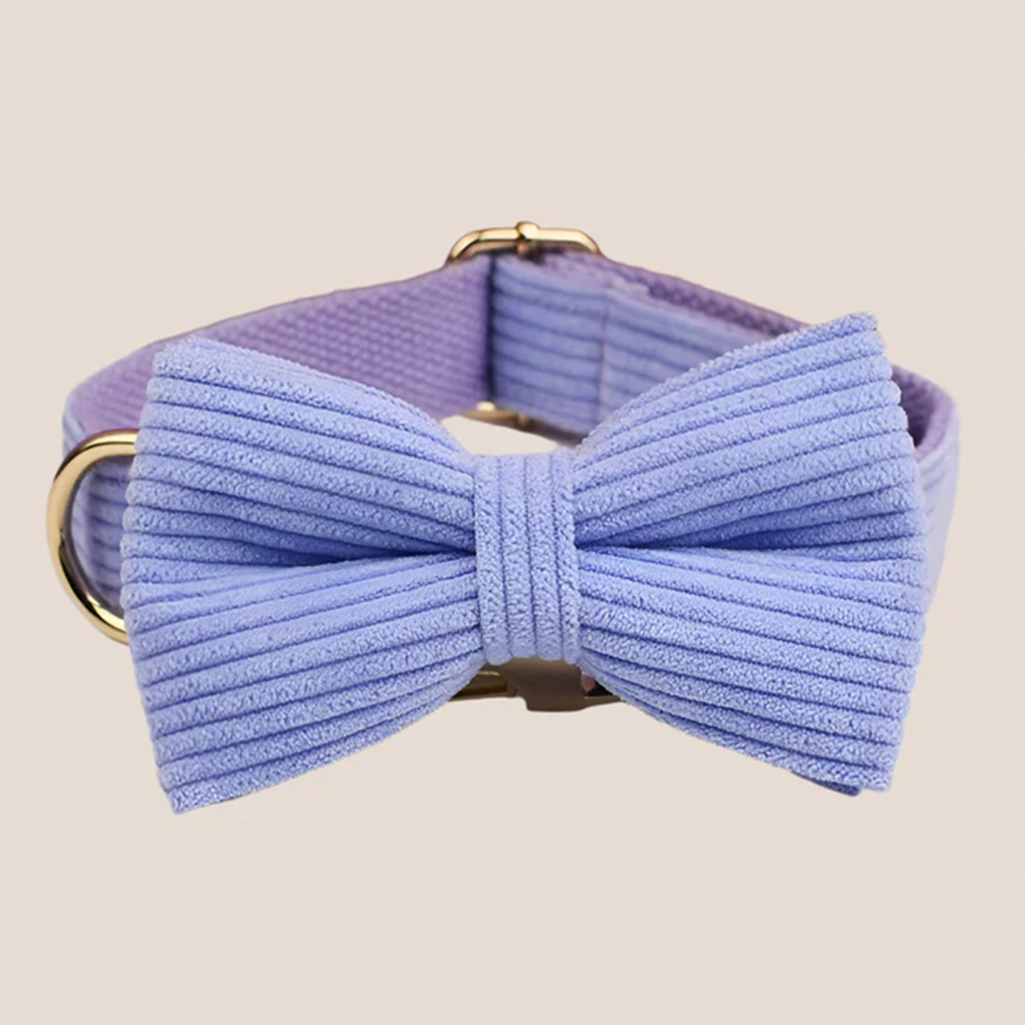 Personalized Pet ID Collar, Harness Leash & Accessories Set Purple Corduroy