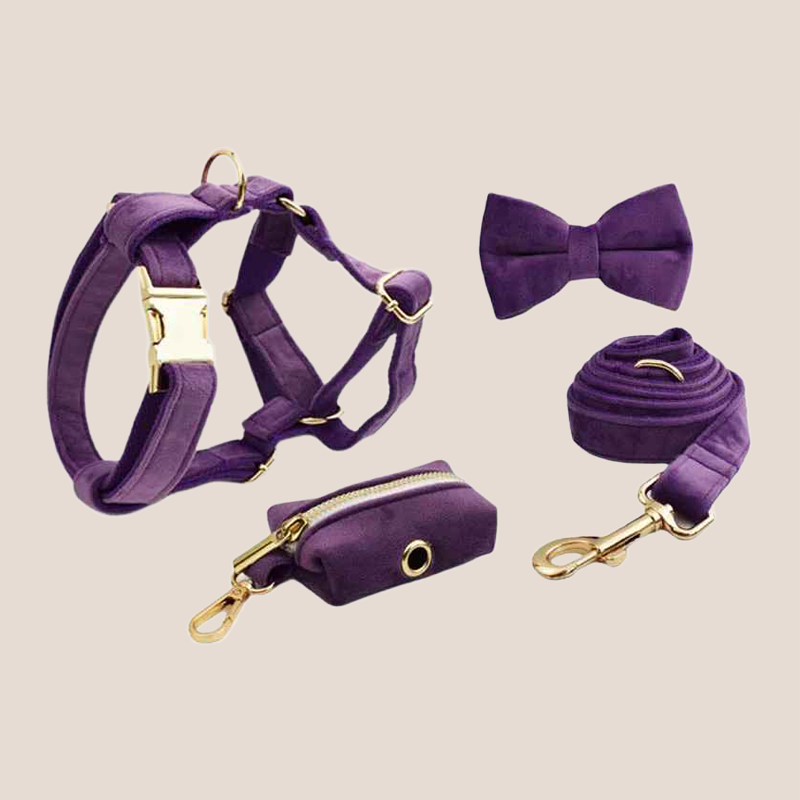Purple Velvet Engraved Pet Set