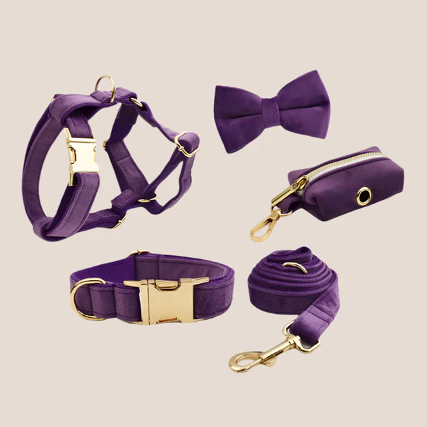 Purple Velvet Engraved Pet Set