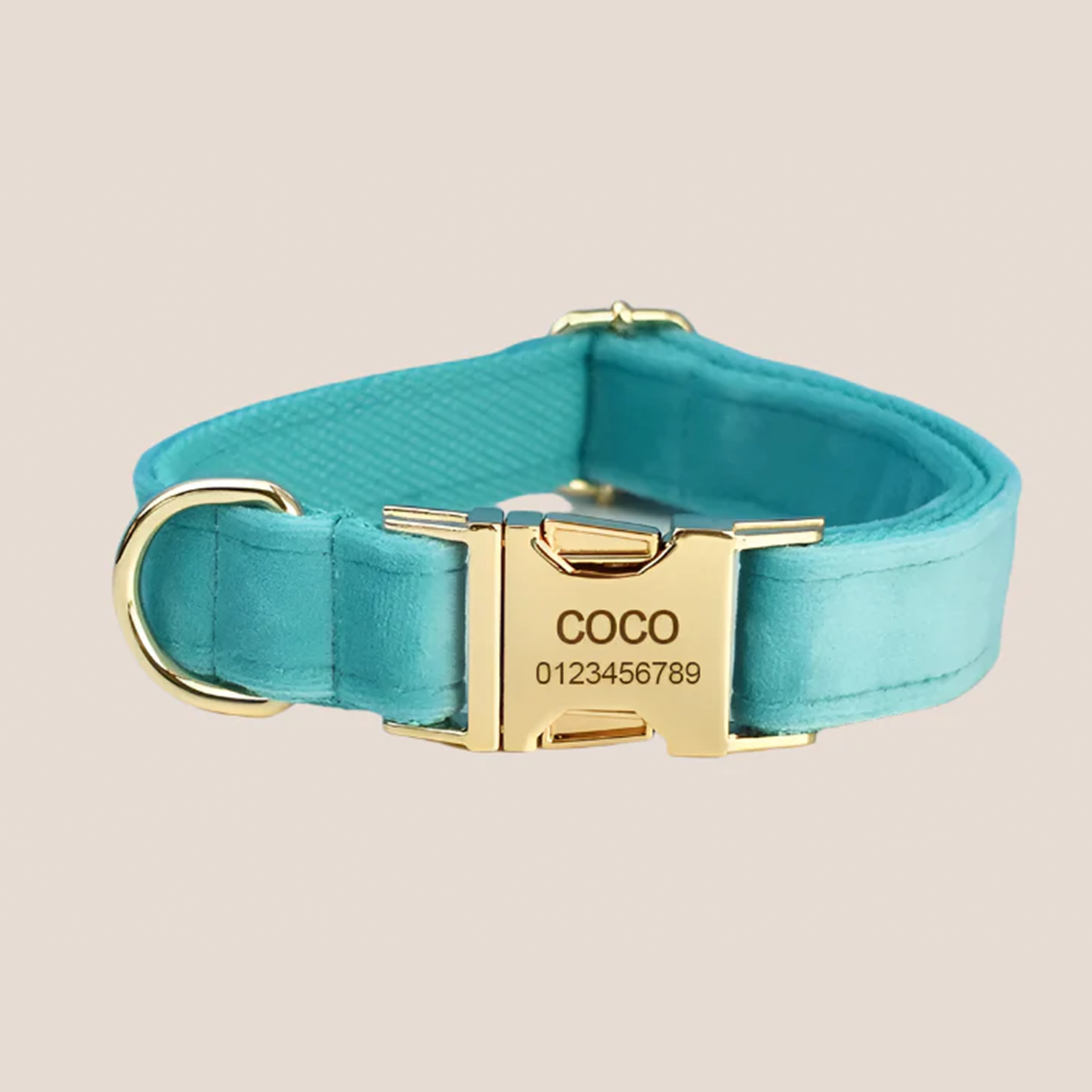 Turquoise Velvet Engraved Pet Set