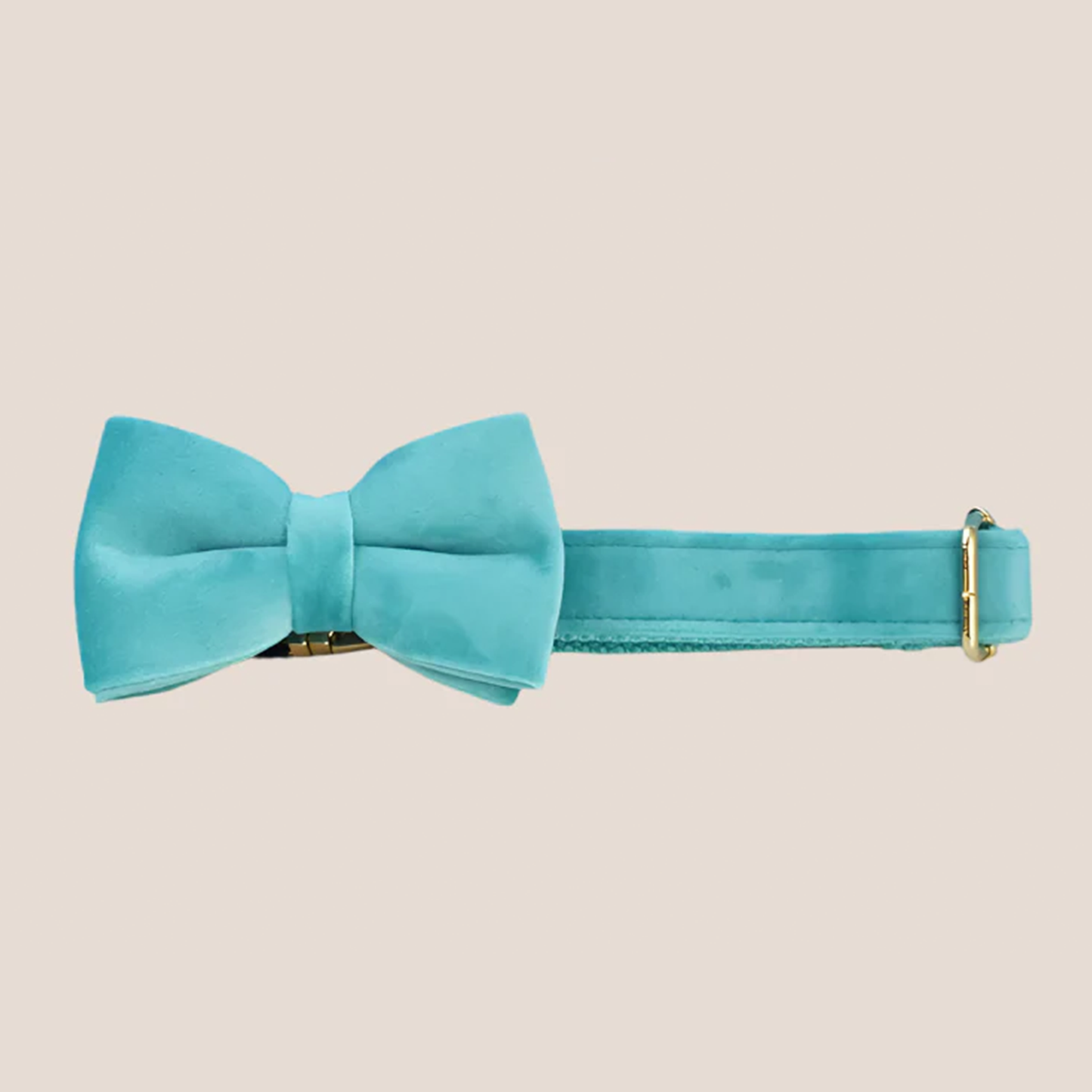 Turquoise Velvet Engraved Pet Set