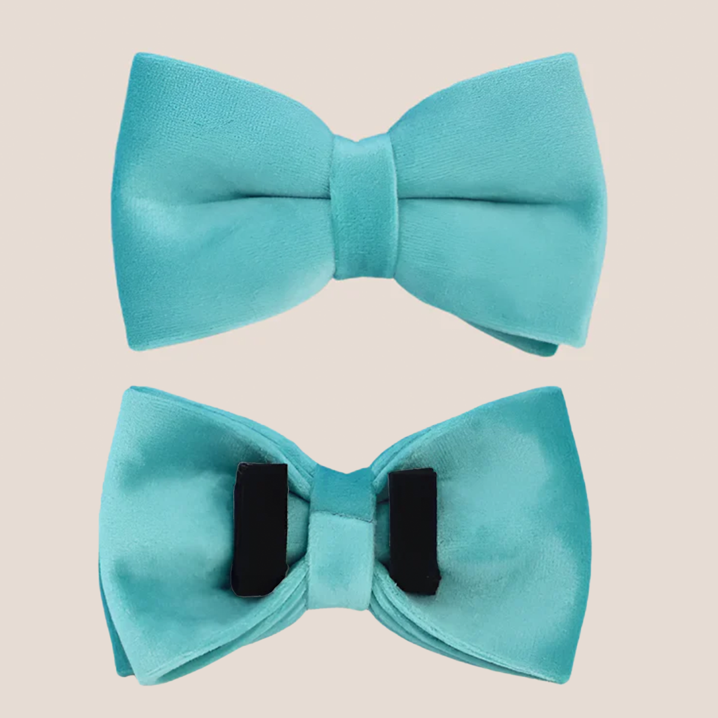 Turquoise Velvet Engraved Pet Set