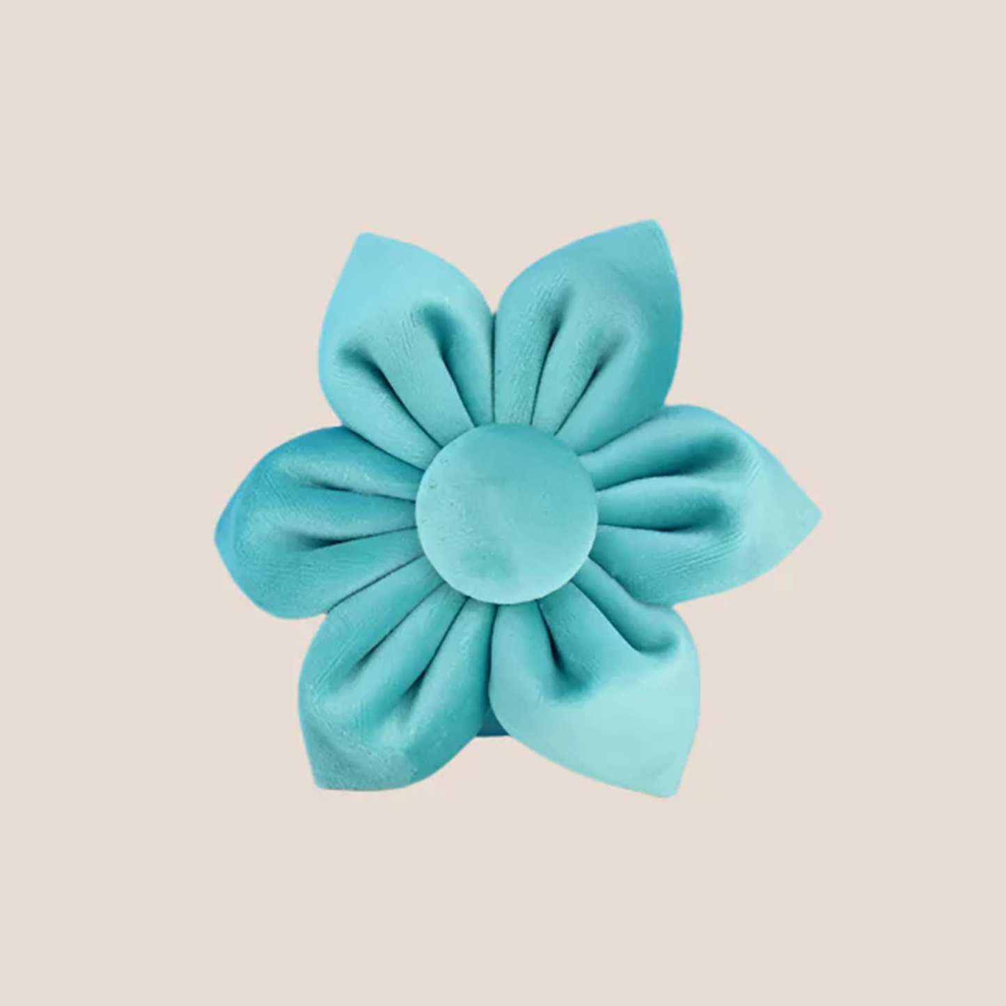 Turquoise Velvet Engraved Pet Set