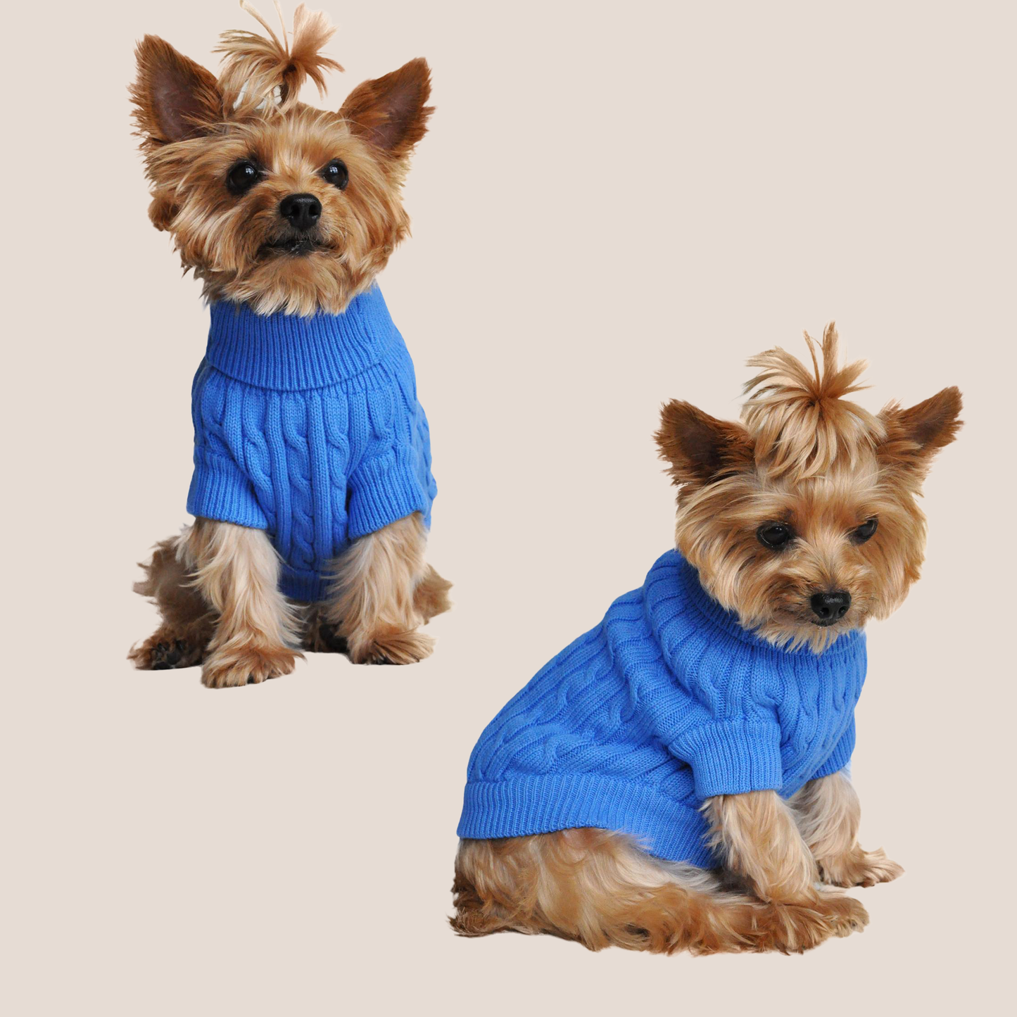100% Brushed Cotton Cable Knit Sweater