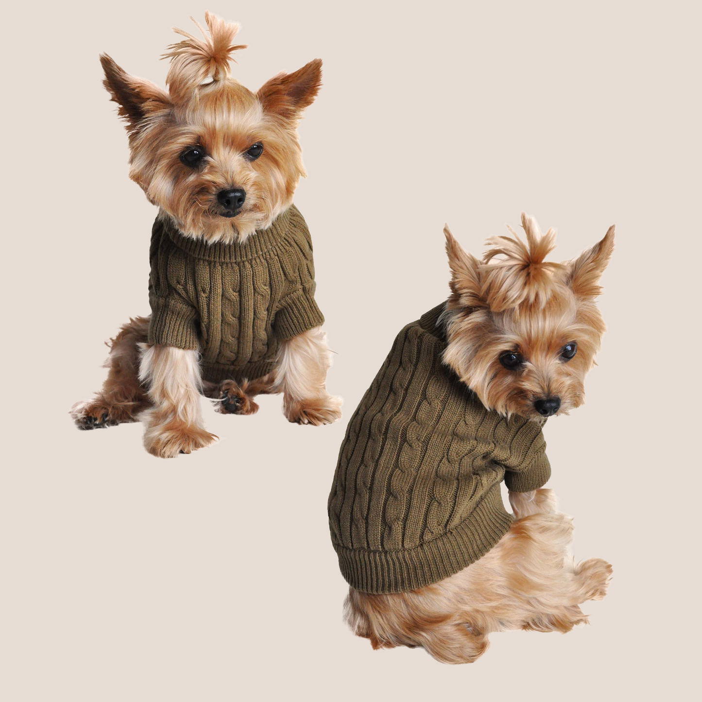 100% Brushed Cotton Cable Knit Sweater