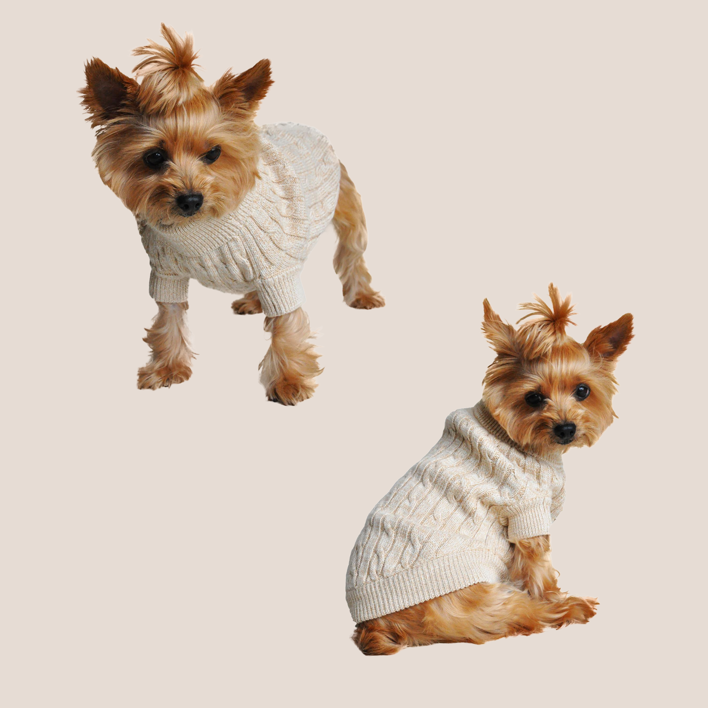 100% Brushed Cotton Cable Knit Sweater