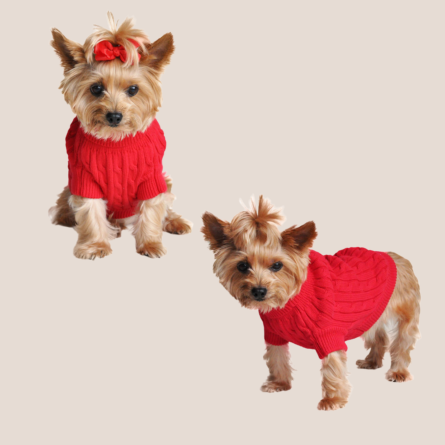 100% Brushed Cotton Cable Knit Sweater