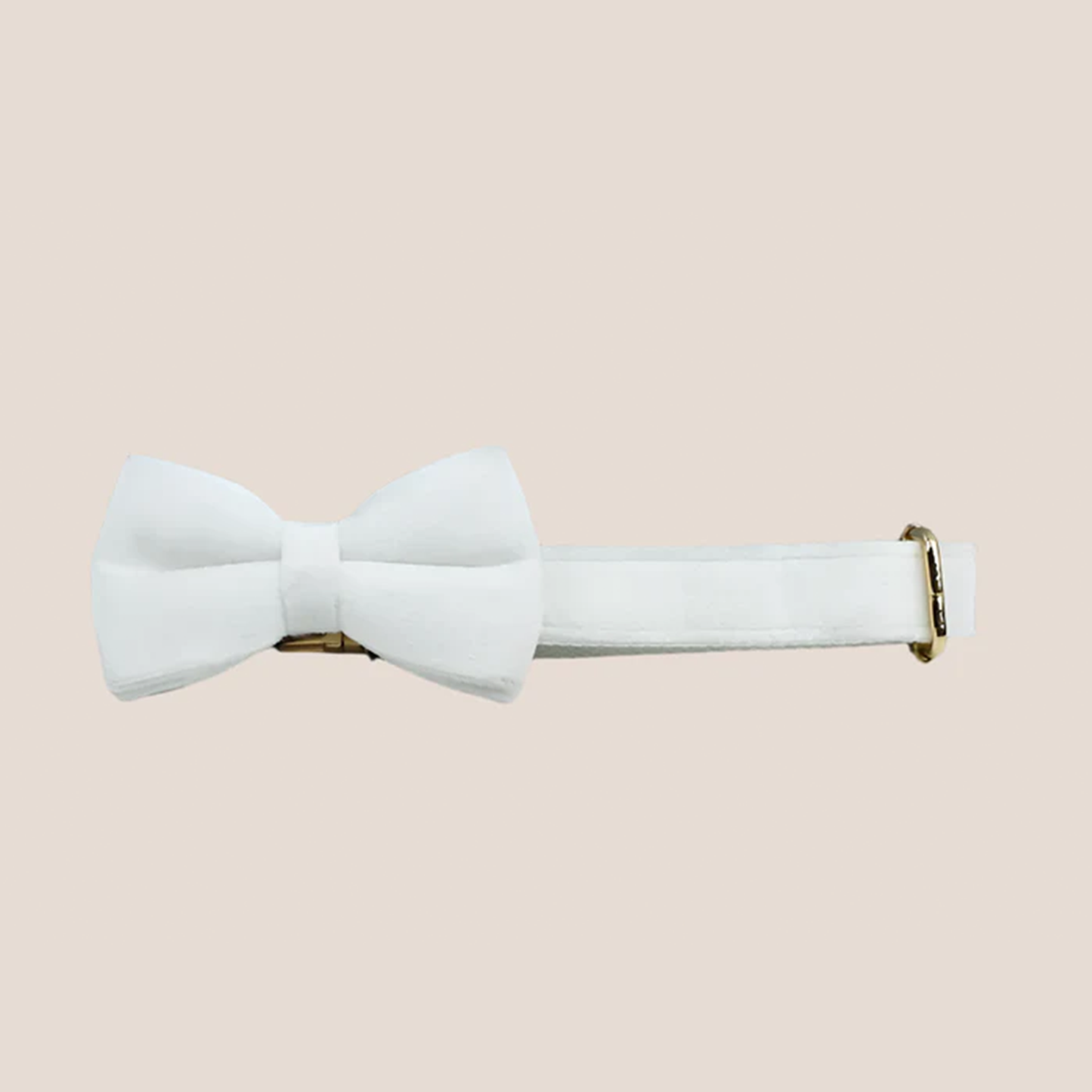 White Velvet Engraved Pet Set