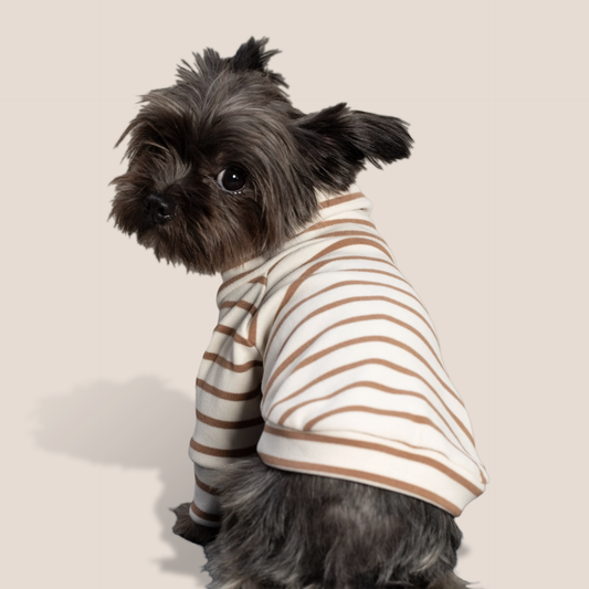 Luxe Striped Fleece - Ivory & Brown Layering Pieces