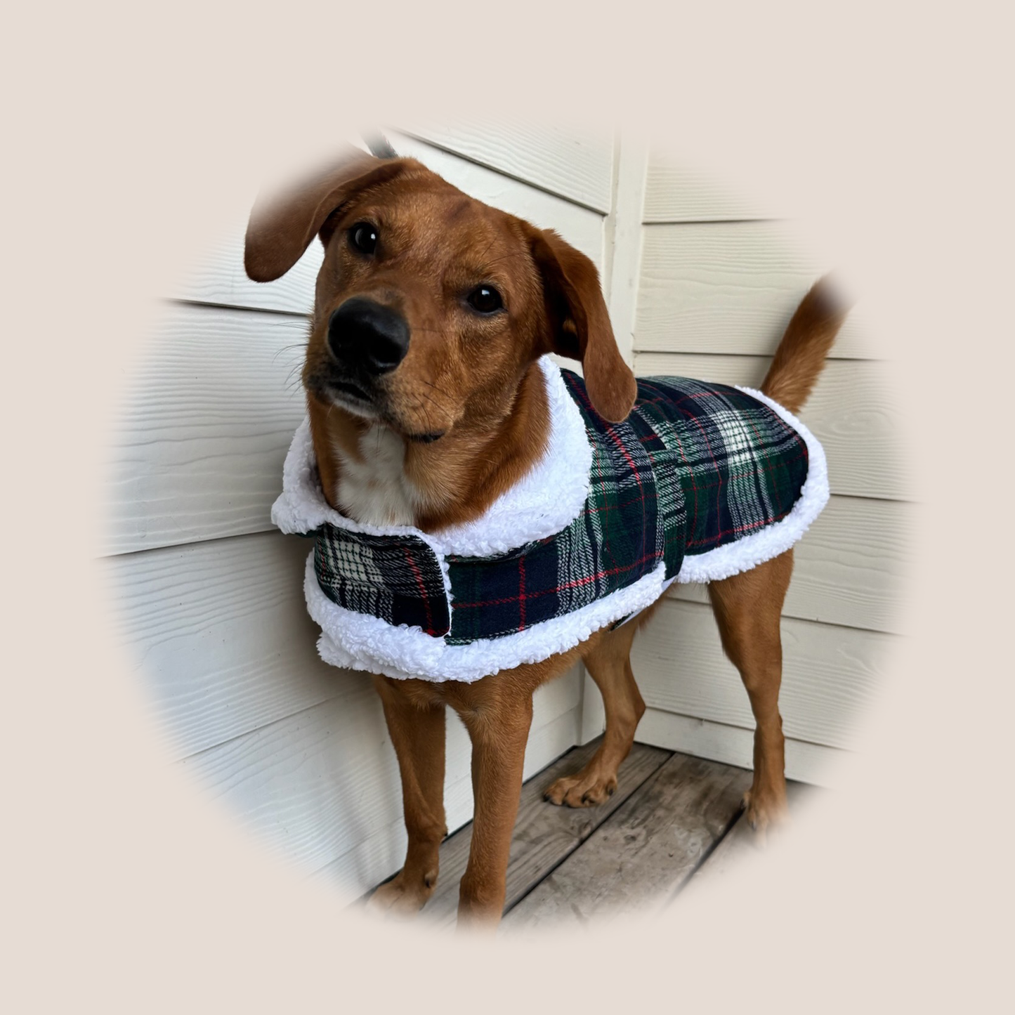 Plaid Luxury Sherpa Lined - Coat & Blanket Set