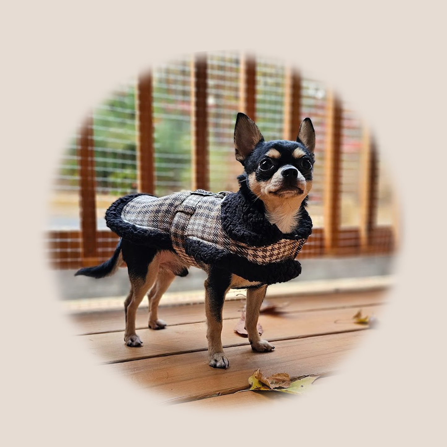 Plaid Luxury Sherpa Lined - Coat & Blanket Set