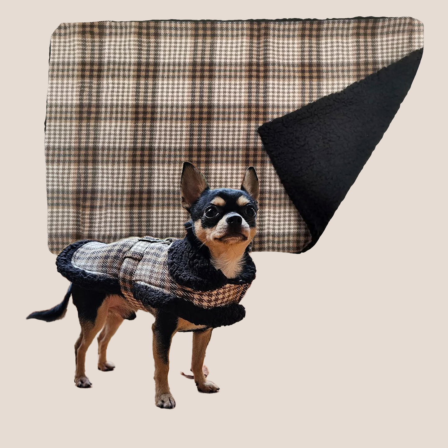 Plaid Luxury Sherpa Lined - Coat & Blanket Set