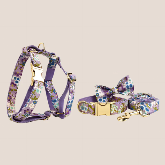 Personalized Pet ID Collar, Harness Leash & Accessories Set Purple Floral