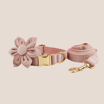 Personalized Pet ID Collar, Harness Leash & Accessories Set Pale Pink Velvet