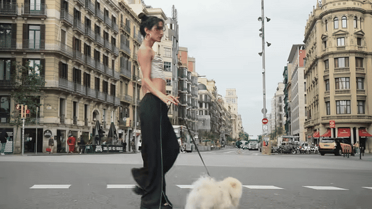 QISU Leashes