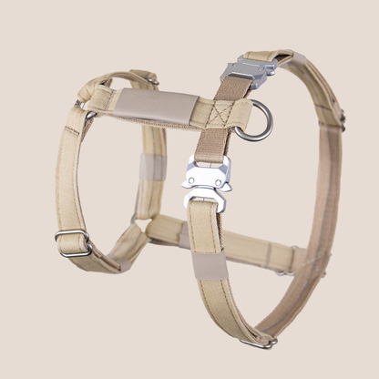 QISU Harnesses