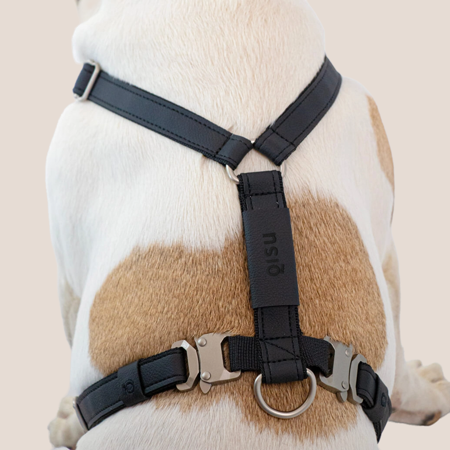 QISU Harnesses