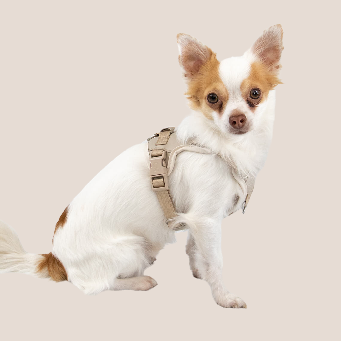 QISU Harnesses