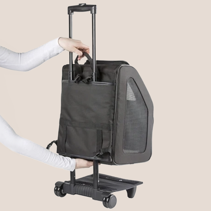 RIO - Luxury 3-in-1 Pet Carrier - Khaki & Stripe with Black Trim