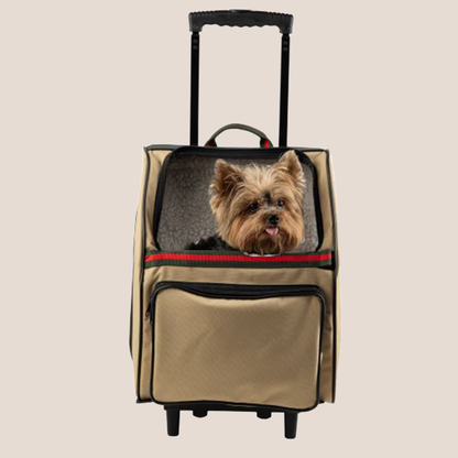 RIO - Luxury 3-in-1 Pet Carrier - Khaki & Stripe with Black Trim