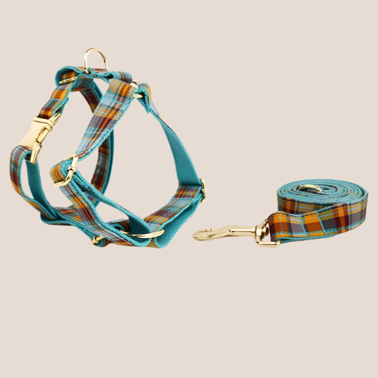 Personalized Pet ID Collar, Harness Leash & Accessories Set Teal Plaid