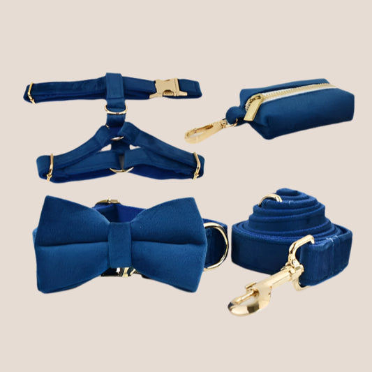 Royal Blue Velvet Engraved Pet Set